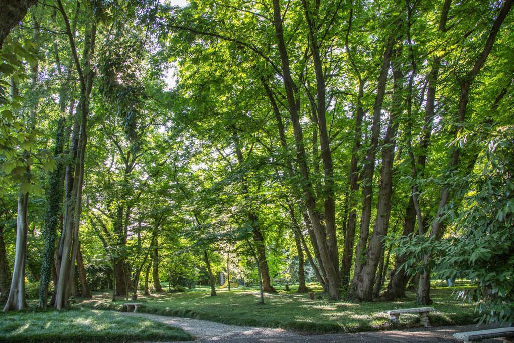 Villa Revedin Gorgo al Monticano Eksteriør bilde